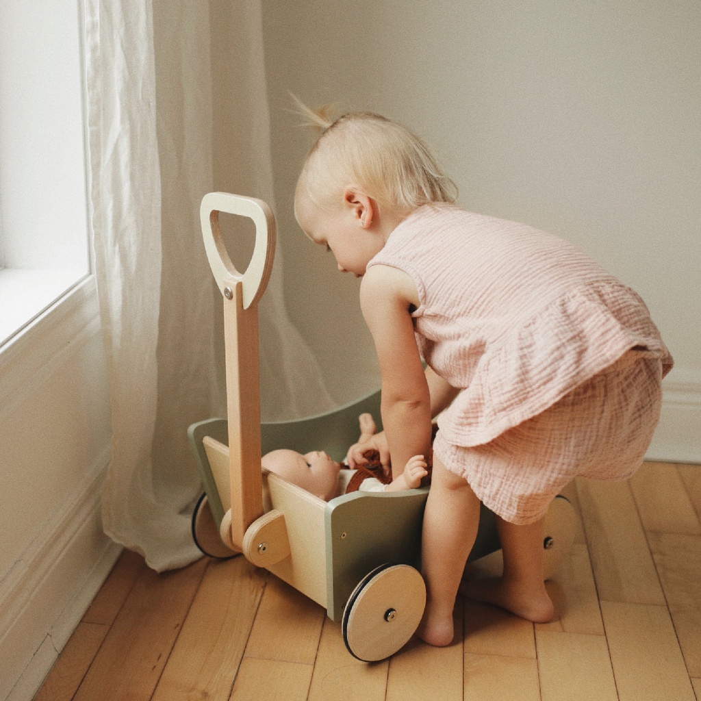 Kinderfeets Pull Wagon 2