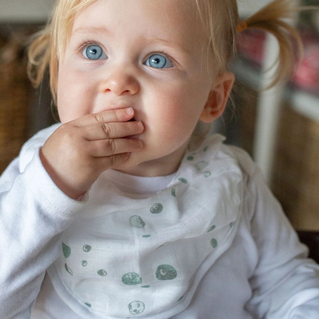 Little Bamboo Muslin Bib 2 Pack 12