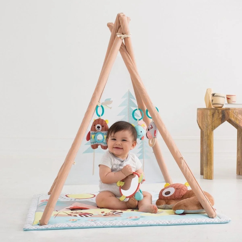Skip Hop Camping Cubs Activity Gym 2