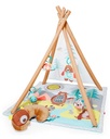 Skip Hop Camping Cubs Activity Gym 8