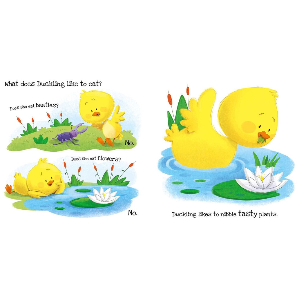What Does Duckling Like? Book 2
