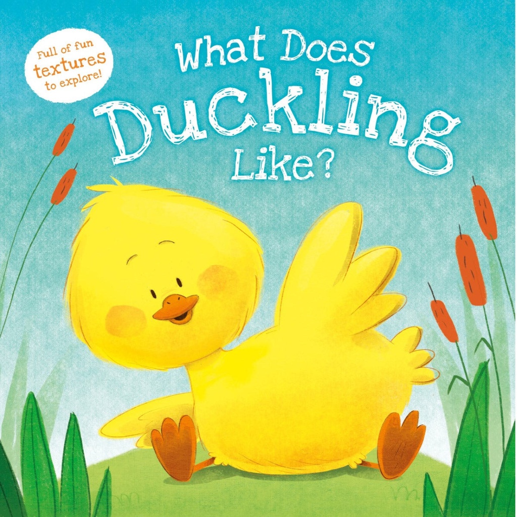 What Does Duckling Like? Book 3