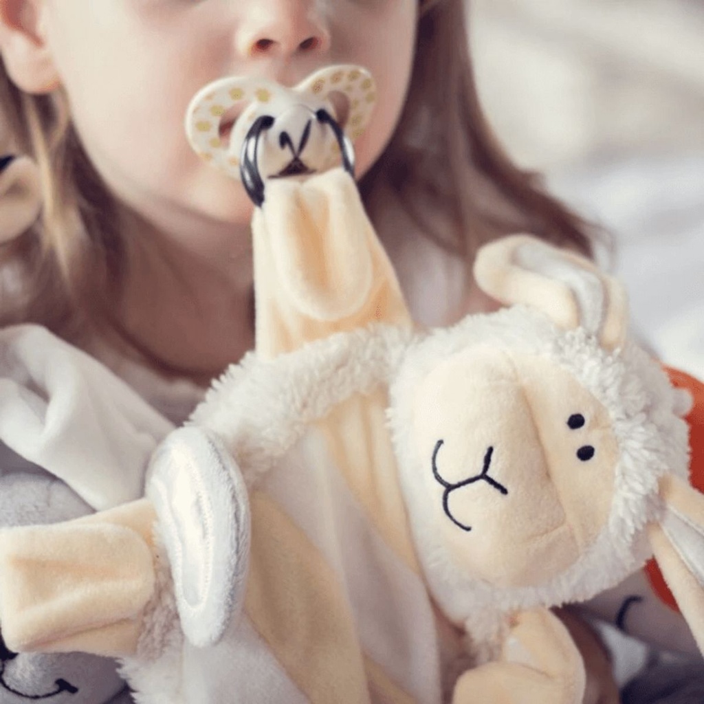 Sleepytot Soother Holder 10
