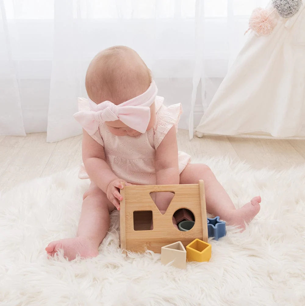 Playground House Shape Sorter 4