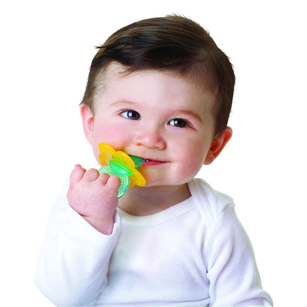 Nuby Chewbies Teether (Assorted) 3