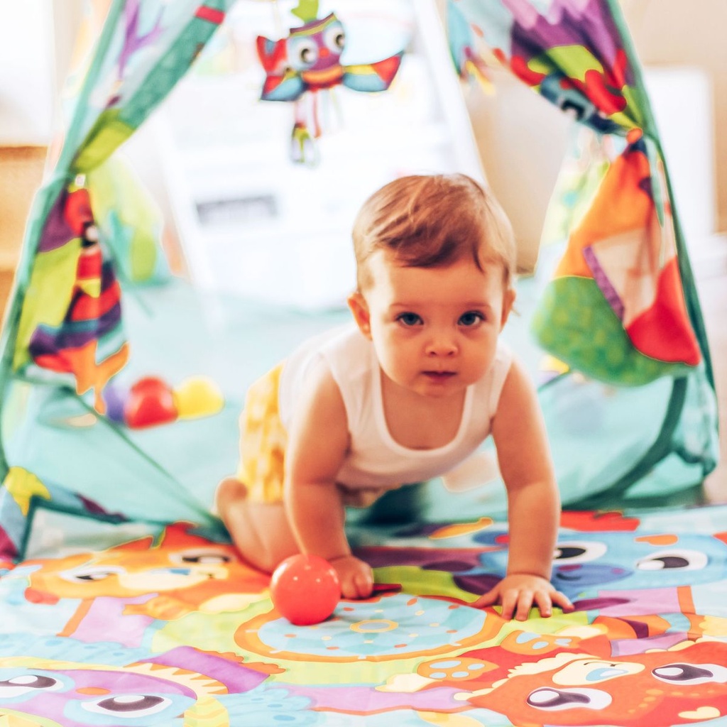 Playgro Convert Me Teepee Ball Activity Gym 2
