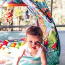 Playgro Convert Me Teepee Ball Activity Gym 6