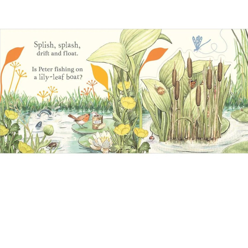 Where Is Peter Rabbit? Lift-The-Flap Book 2