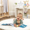 Peter Rabbit Unfold and Discover Book 3