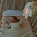 Zazu Ro The Rabbit 4