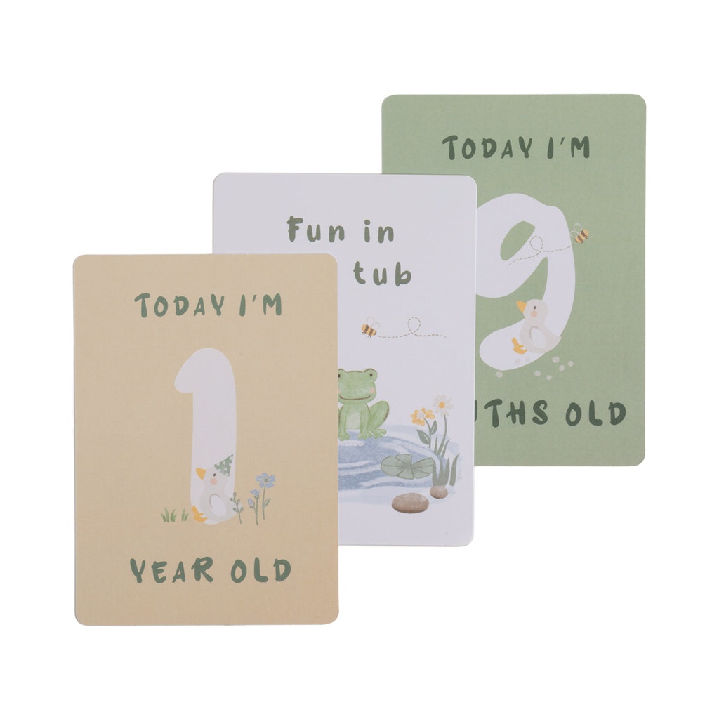 Living Textiles Goosey Goosey - Milestone Cards