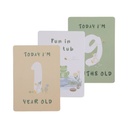 Living Textiles Goosey Goosey - Milestone Cards