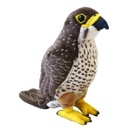 Antics NZ Falcon Sound Bird